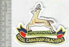 Canada Army Afghanistan Royal Canadian Dragoons Regiment Armee Canadienne Patch