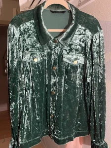 Colleen Lopez Jacket Plus Size 3X Green Jacket Belle Cuff Button Front Jacket - Picture 1 of 12