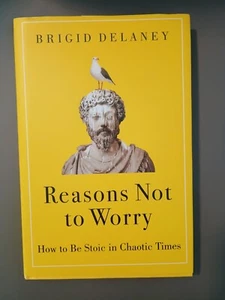 Reasons Not to Worry: How to Be Stoic in Chaotic Times by Brigid Delaney 2022 - Bild 1 von 5