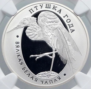2008 BELARUS Animal GREAT WHITE EGRET BIRD Proof Silver 10 Ruble Coin NGC i89223 - Picture 1 of 5