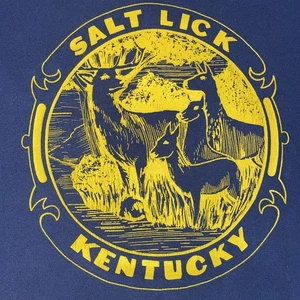 Salt Lick KY Hirsch Kunst T-Shirt gelb blau Einzelnaht 90er Erwachsene Large USA Vintage - Bild 1 von 6