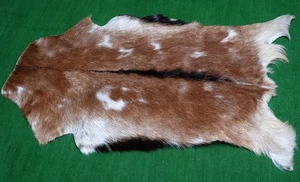 Luxury Goat hide Rug Hair on Area Rug Size 40"x24" Animal Leather Goat Skin G156 - Picture 1 of 3
