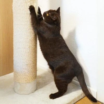 Cat Tree Tower Cat Scratching Post Tool Set Climbing Frame Sisal Hemp - Image 1 of 4