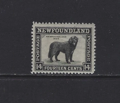 NEWFOUNDLAND - #261 - 14c NEWFOUNDLAND DOG MINT STAMP MNH Cover