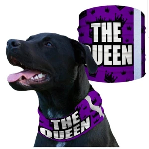 BUFANDA PAÑUELO THE QUEEN DOG SHIELD - Imagen 1 de 1