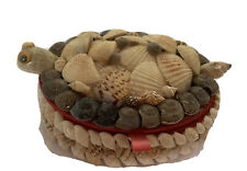 Trinket Box Sea Shells Vintage Folk Art Oval Box ￼ N￼autical Turtle C￼ollectible