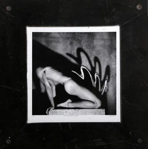 Unknown Artist, Sculpture/Sculpture' Serpent, Photograph, signed "Steve Funge", - Picture 1 of 5
