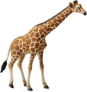 CollectA Wildlife Reticulated Giraffe Toy Figure - Authentic Hand Painted Model - Picture 1 of 1