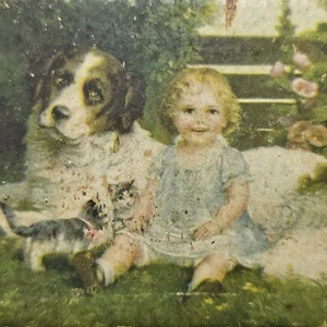 Antigua caja de regalo alemana de terciopelo de cartón para niños gatitos perro jardín litografía - Imagen 1 de 20