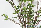 1 PCS 95 cm Artificial Green Leaves Branch Plastic Bush Home Decoration F412