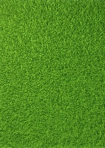 Papel pintado comestible de hierba verde tamaño A4/hoja de hielo - Imagen 1 de 1