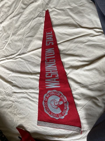 WASHINGTON STATE COUGARS 1960'S VINTAGE FELT PENNANT RARE Cover