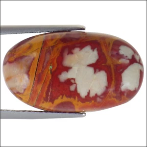 Piedra preciosa de jaspe natural noreena de 17,46 quilates corte ovalado multicolor - Imagen 1 de 2