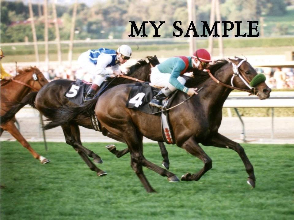 ESTRELLA DE COZZENE 1993 SAN MARCOS GANADOR DE DISCAPACIDAD SANTA ANITA FOTO 8 X 10 #2 Foto 1 de 1