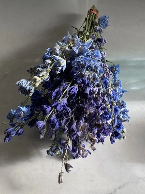 Ramo Azul DELPHINIUM Ramo Paquete Flores SECAS EE. UU. Surtido AZUL Tonos Auc#4 Foto 1 de 4