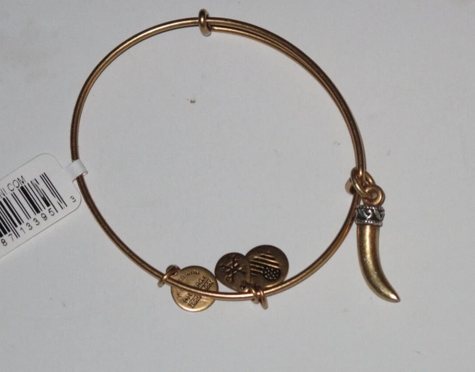 Alex and Ani Horn Charm Bangle Rafaelian Gold Finish Bracelet A17EBHNRG