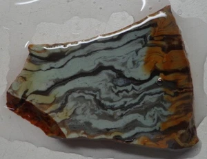 WRG- Buffalo Horn Picture Jasper Slab 12 grams Wyoming Lapidary - Picture 1 of 4