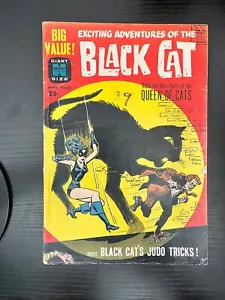 Black Cat Comics 6 Harvey 1963 Rare, HTF, Look! Last Issue - Picture 1 of 3