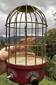 SAEZURI Transistorisierter Singvogel im Käfig Vintage MCI Made In Japan Zwitschern - Bild 1 von 16