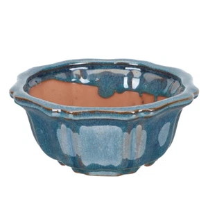 Succulent Container Water Lily Bowl Flower Pot Desk Small Succulent Pots - Picture 1 of 12
