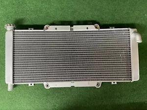 GENUINE QUADZILLA RL500 BUGGY RADIATOR COOLANT RAD WATER COOLING RADIATOR - Picture 1 of 13