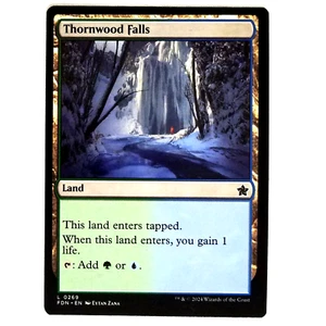 x1 Thornwood Falls MTG FDN M/NM Dual Land Multi-Color Green Blue Foundations TCG - Bild 1 von 3
