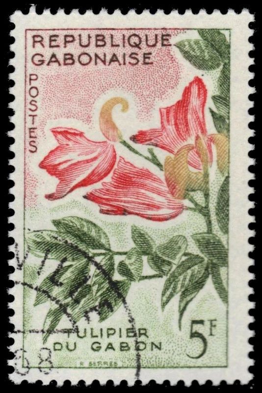 GABON 158 - Tulip Tree "Spathodea campanulata" (pa78830) - Image 1 of 1