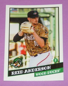 2019 Choice, Down East Wood Ducks - REID ANDERSON