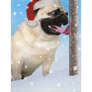 Pug Tongue Stuck to Pole Package of 8 Funny / Humorous Dog Christmas Cards - Picture 1 of 2