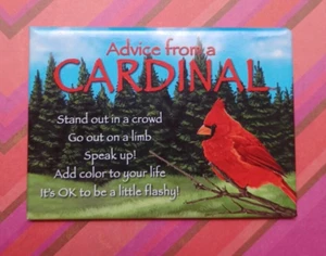 Advice from a Cardinal Collectable Fridge Magnet 3.5 x 2.5in - Picture 1 of 6