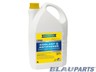 Антифриз ravenol g12