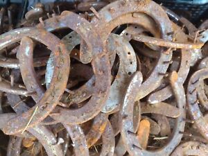 10 Ten Used Steel Horseshoes rustic western arts and crafts 