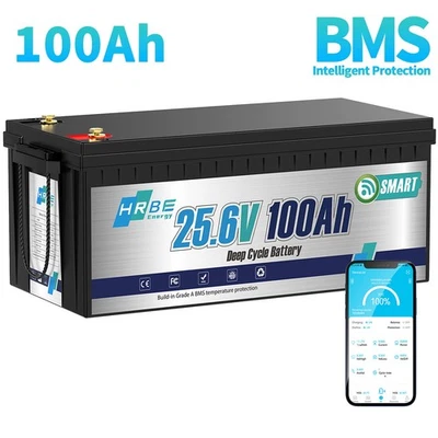 HRBEENERGY 24V 100Ah bluetooth LiFePO4 Lithium Batterie Solar Wohnmobil Boot Akku 100A BMS