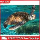 Hand Painted On Canvas Diy Sea Turtle Oil Paint By Numbers Drawing Kit Ornaments