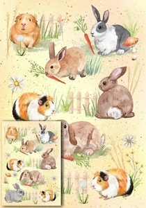 Rabbit & Guinea Pig Animal Gift Wrapping Paper by Starprint - with matching card - Picture 1 of 3