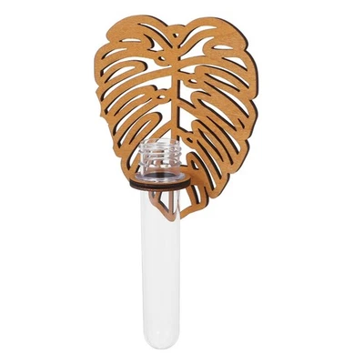  Reagenzgläser Für Blumen Wandmagnierte Pflanzer Übertopf Zum Aufhängen Der - Bild 1 von 4