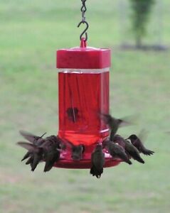 FIRST NATURE HUMMINGBIRD FEEDER 16 OZ WIDE MOUTH EASY CLEAN MADE IN USA!