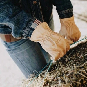 Hay Chix Chore Handschuhe - Bild 1 von 3
