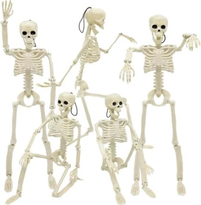 5 Packs Halloween Skeletons, 16" Halloween Full Body Skeleton. - Picture 1 of 6