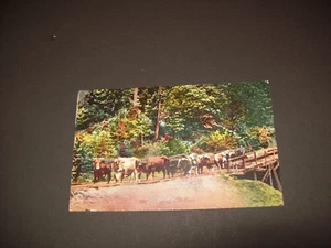 LOGGING WITH OCHSEN VINTAGE POSTKARTE  - Bild 1 von 2