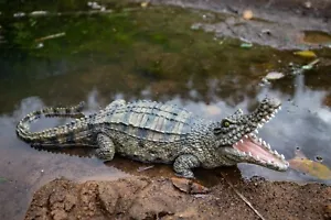 Crocodile W/Mouth Open Garden Statue, Animal Garden/Home Decor Reptile Ornament - Picture 1 of 6