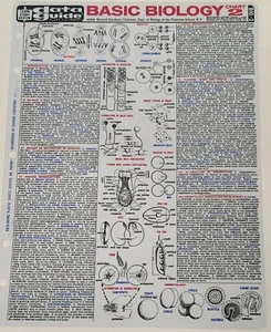 Basic Biology Vtg 60s Reference Sheet Quick Chart School Data Guide Science 1962 - Picture 1 of 3