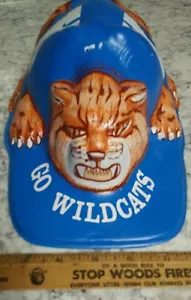 VERY RARE VINTAGE KENTUCKY WILD CATS FOOTBALL HAT MOLDED PLASTIC MASCOT CAP LOOK - Picture 1 of 7