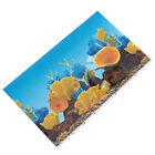  Wallpaper Adhesive Stickers Fish Tank Background Double Sided