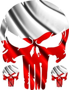  CALCOMANÍA DE VINILO CON LOGOTIPO DE BANDERA PULIDA CALAVERA LADO DEL CAPÓ PARA COCHE CAMIÓN 28" - Imagen 1 de 1