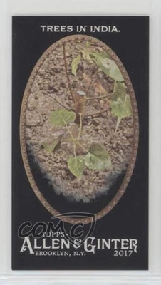 2017 Topps Allen & Ginter's X Mini Trees in India #52 - Image 1 of 2
