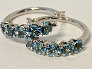 10k White Gold Natural Blue Topaz Earrings - Picture 1 of 7