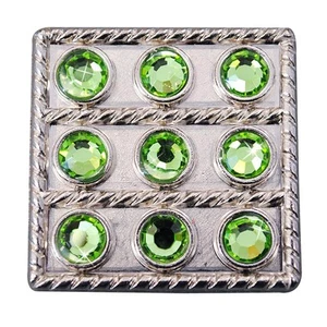 92HS Western Tornillo Trasero Concho1 Negro Cristal Floral Bling Cabezal Vaquera - Imagen 1 de 25