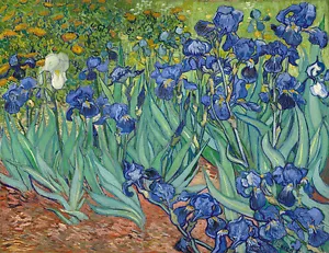 Vincent Furgone Gogh Iris 1889 Vintage Stampa - Foto 1 di 1