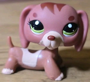 LPS ~ C-031G ~ Red Dachshund Dog 2006 ~ Auténtico Littlest Pet Shop - Imagen 1 de 8